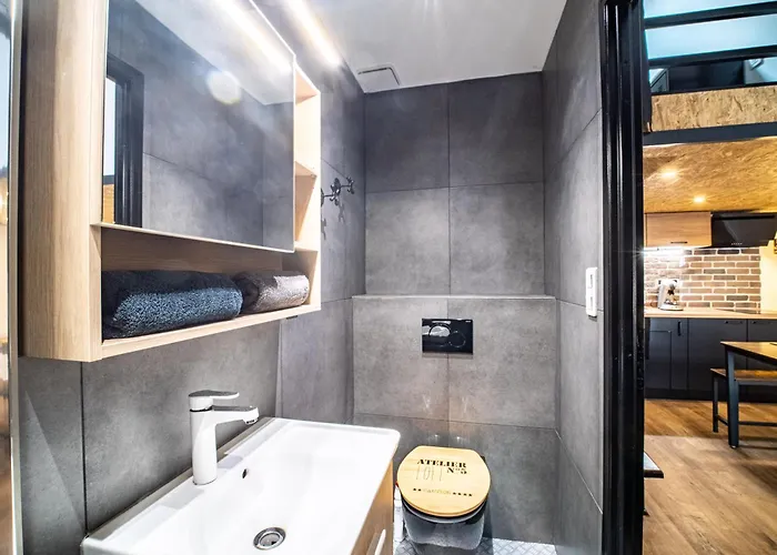 Апартаменты Le Petit New York Industriel Hyper Centre Place Stan Insolites